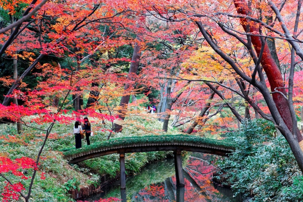 Rikugien Garden in Tokyo