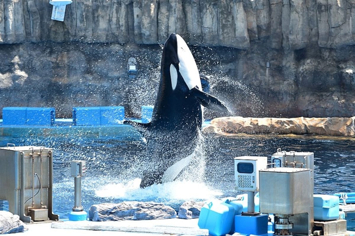 9 พิพิธภัณฑ์สัตว์น้ำท่าเรือนาโกย่า (Port of Nagoya Public Aquarium)