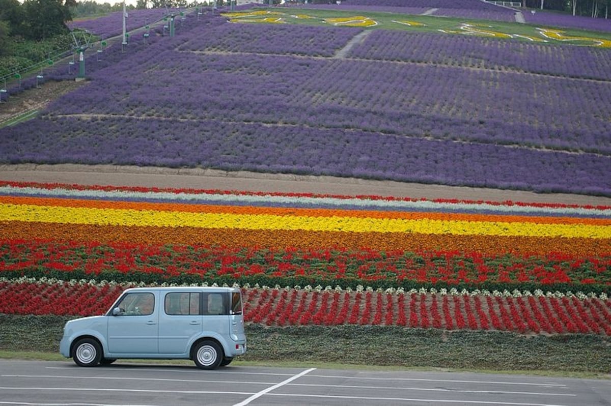 6 ทุ่งลาเวนเดอร์ประจำเมืองนากาฟุราโนะ (Nakafurano Town)