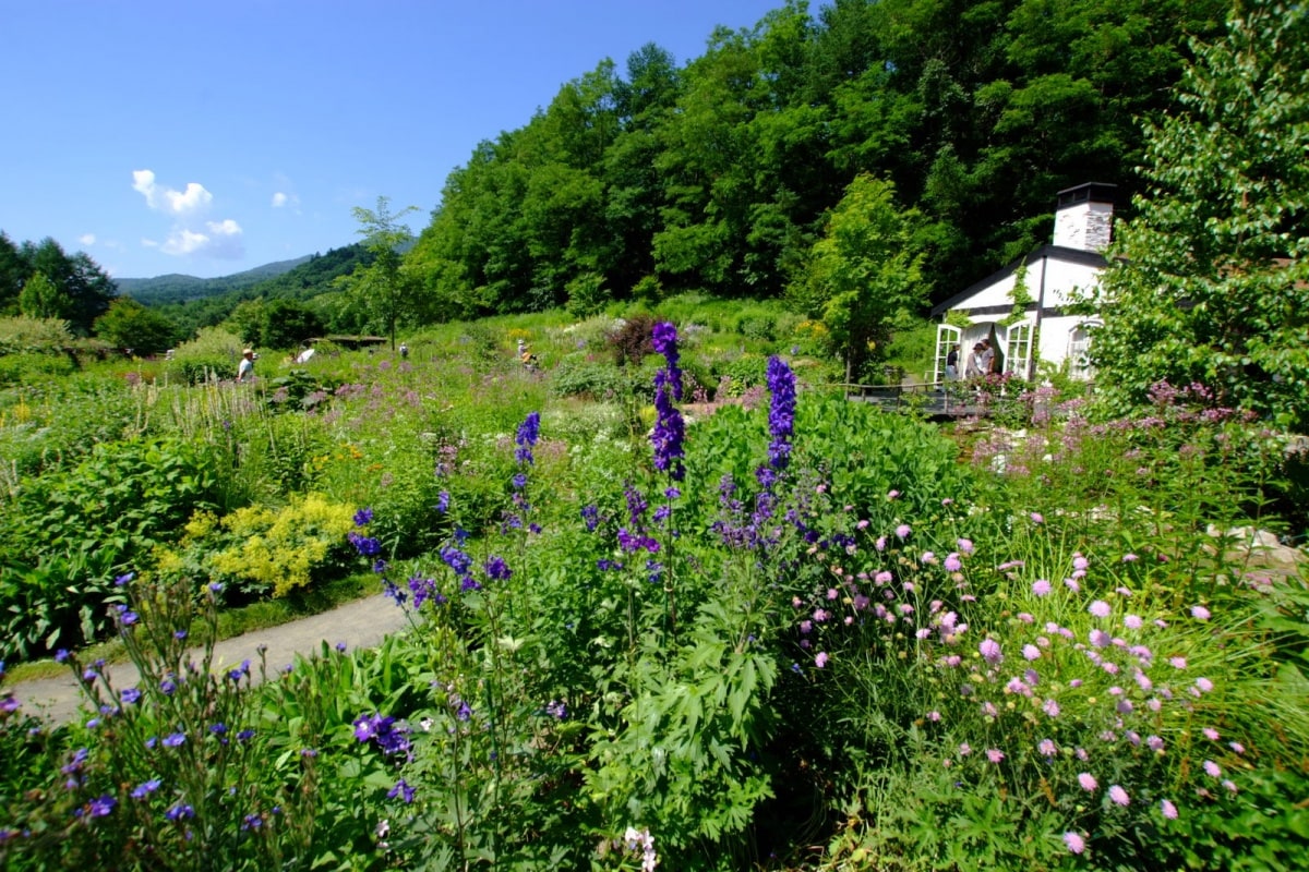 โรงแรมนิวฟุราโนะปริ๊นซ์ (New Furano Prince Hotel)