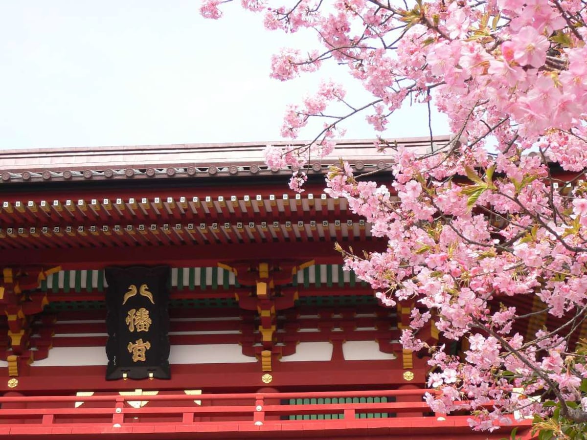 鶴冈八幡宮神社