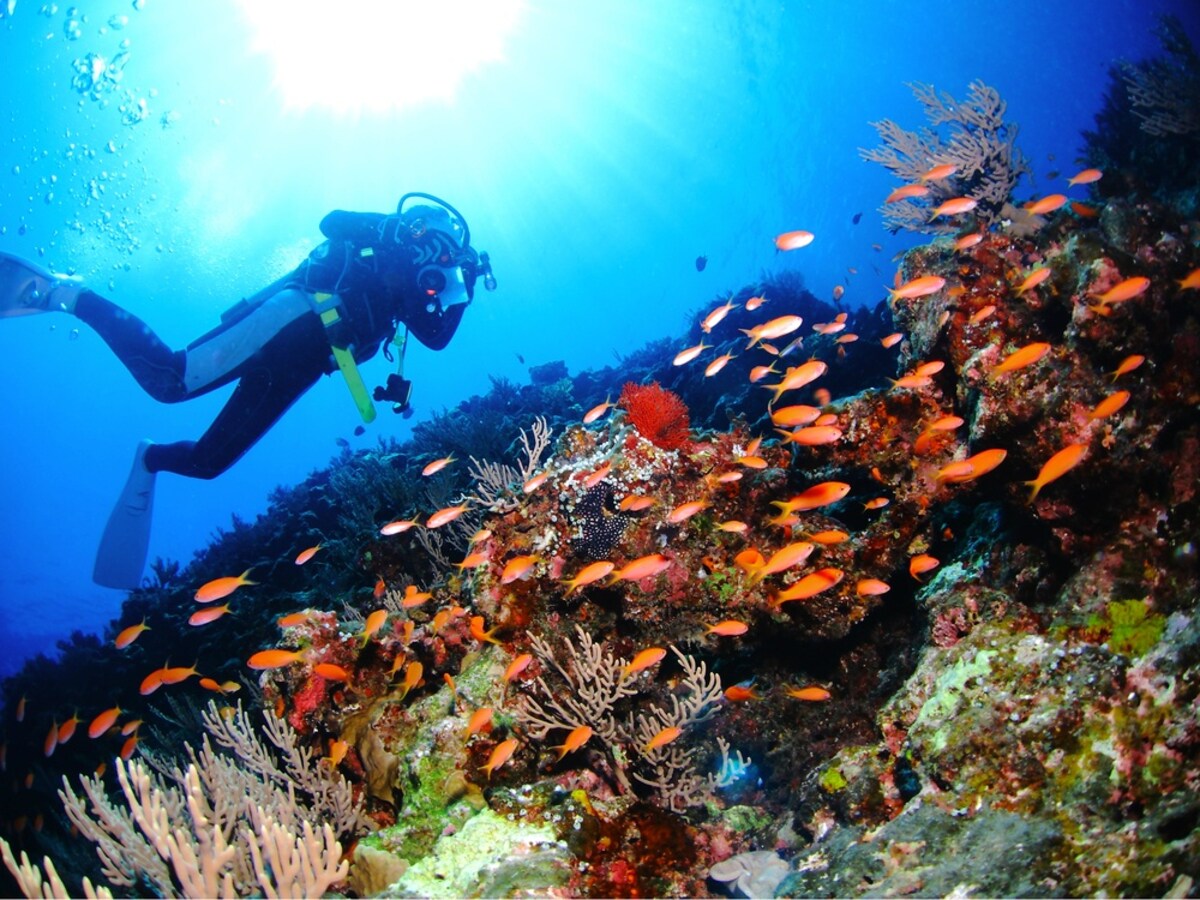 2. Scuba Diving