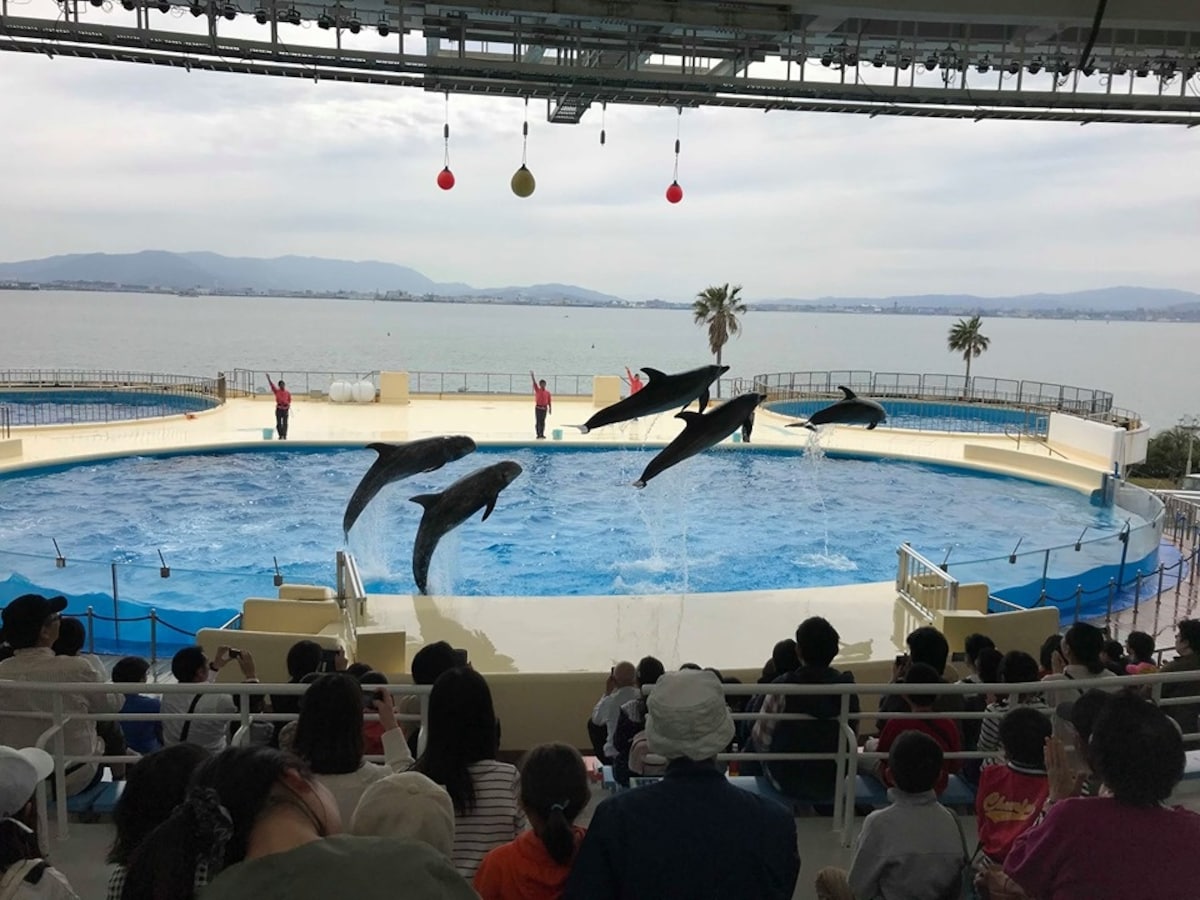 พิพิธภัณฑ์สัตว์น้ำ Marine World