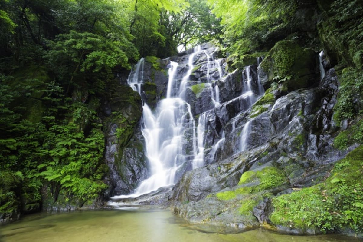 夏日避暑聖地！白絲之瀑 (白糸の滝)