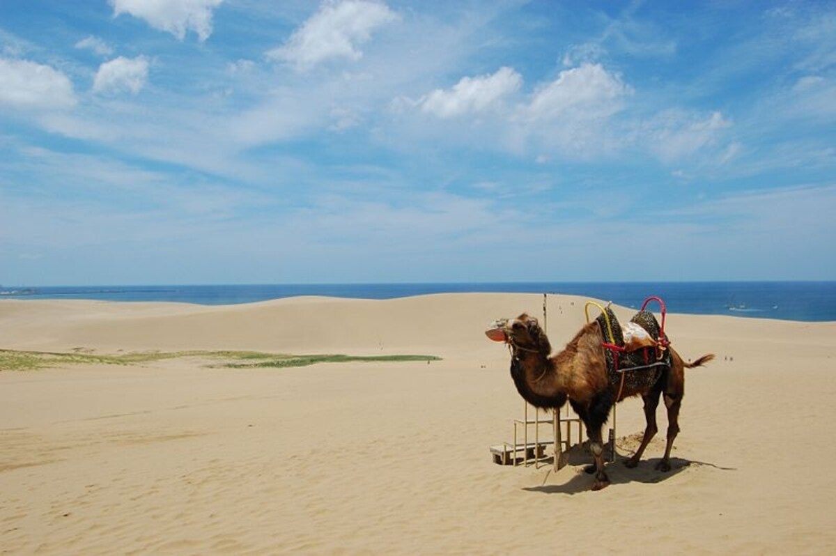 เนินทรายทตโตริ (Tottori Sand Dunes)