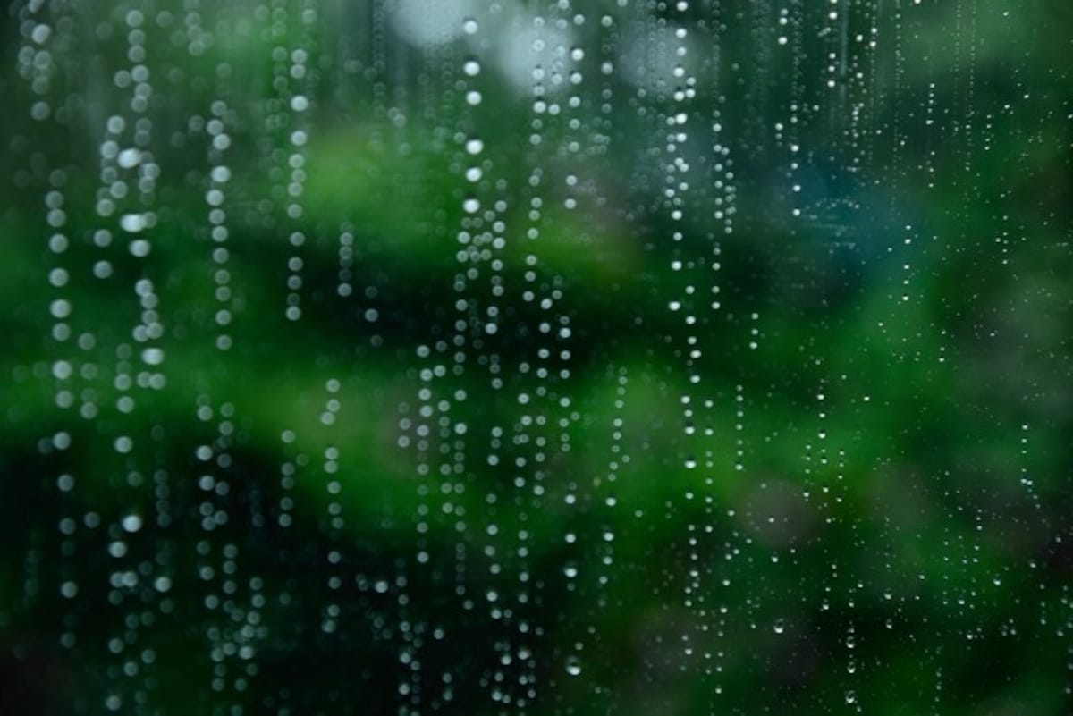 雨垂れは三途の川