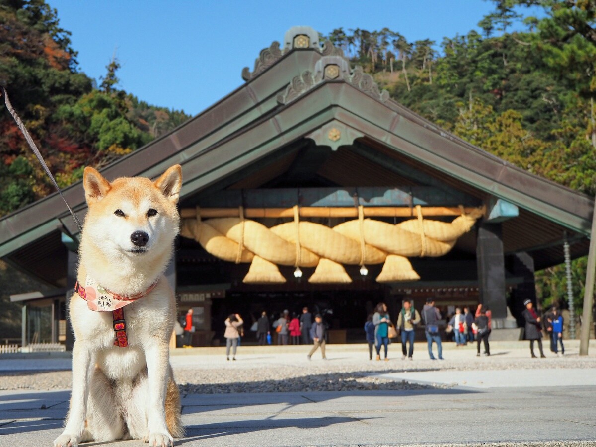 3 จังหวัดชิมาเนะ (Shimane)