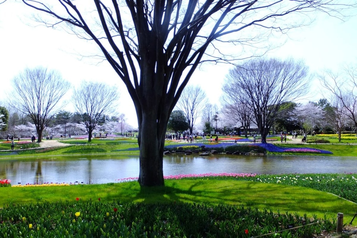 5. Tachikawa Showa Kinen Park Fireworks, Tokyo