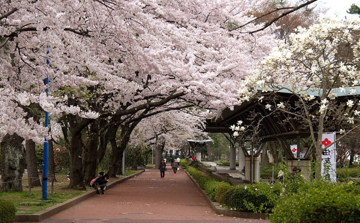 สวนสึสึจิงาโอกะ (Tsutsujigaoka Park)