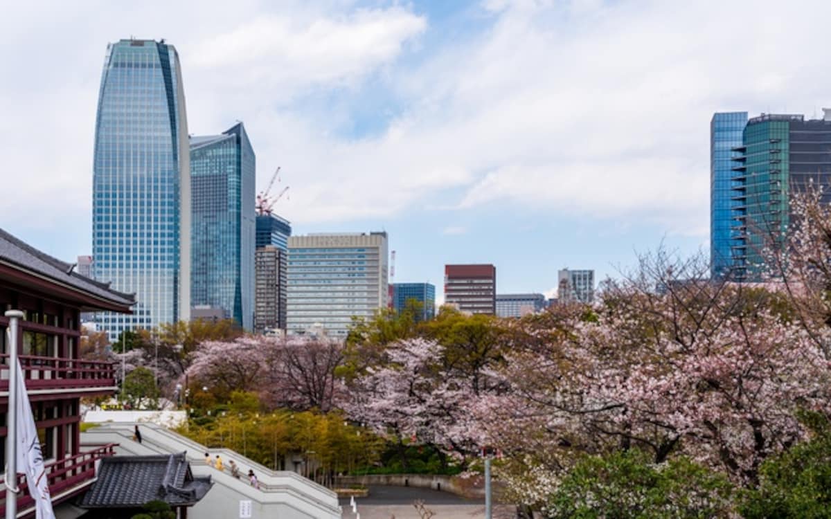 东京芝公园 & 增上寺