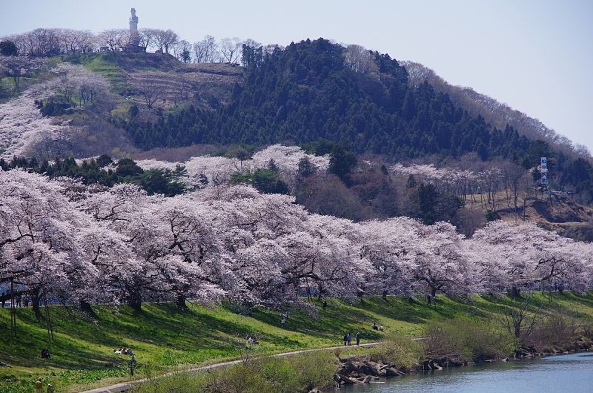 สวนฟุนาโอกะ (Funaoka Castle Ruin Park)