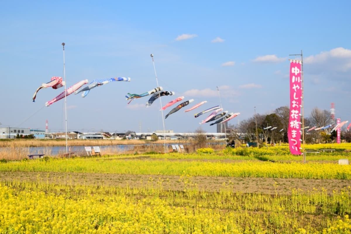 中川八潮觀光花園 (中川やしおフラワーパーク) ＠八潮市