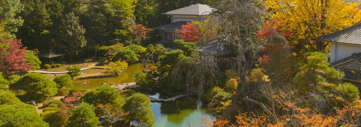 วัดรินโนจิ (Rinnoji Temple)