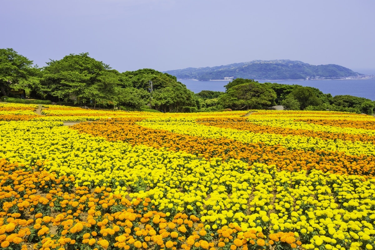 Nokonoshima Island Park