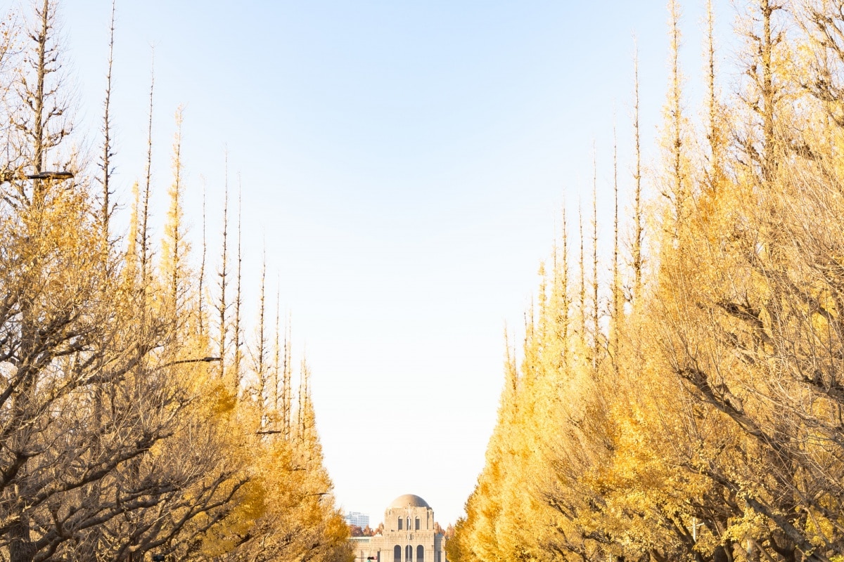 1. สวนเมจิจิงกูไกเอ็น โตเกียว (Meiji-jingu Gaien, Tokyo)