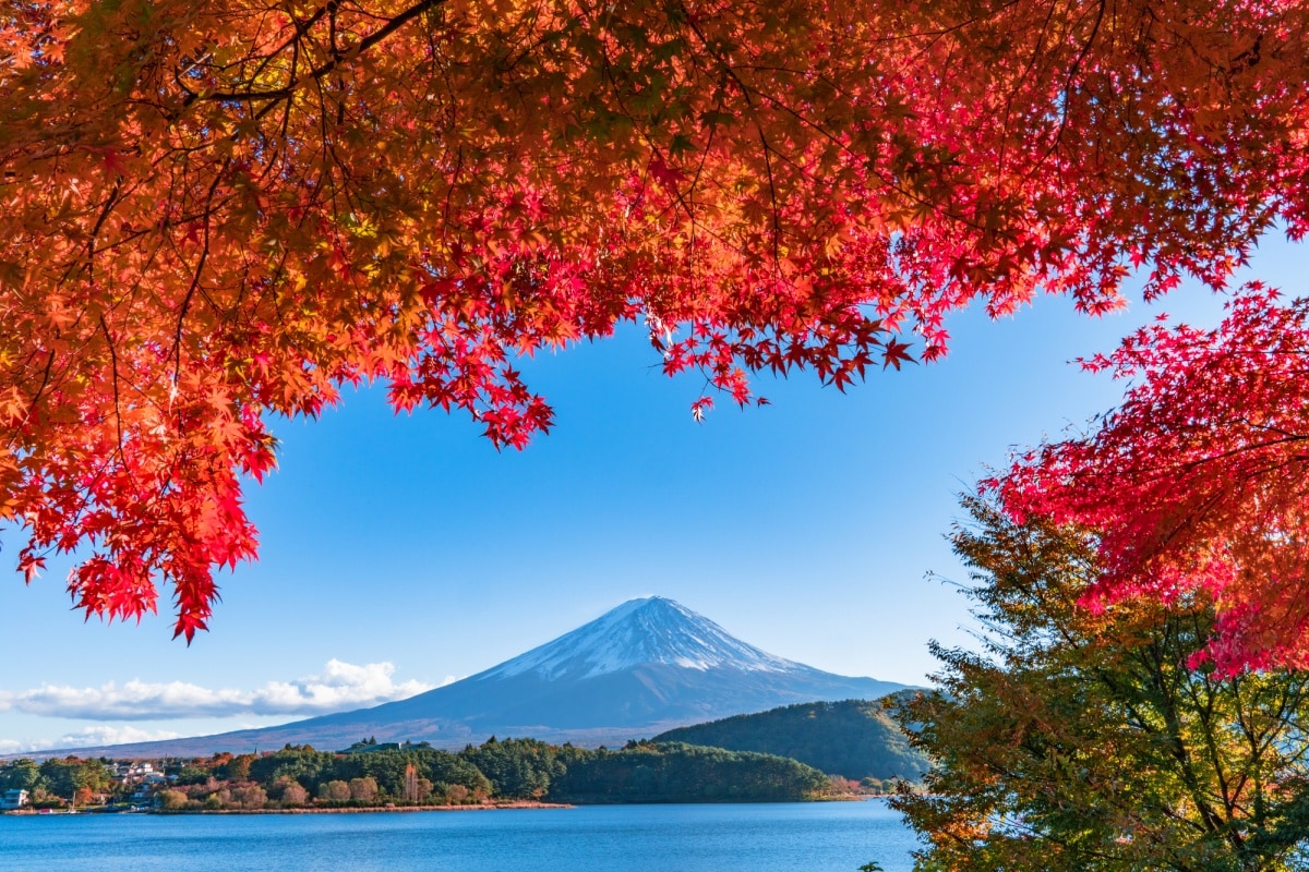 8. ฟูจิคาวากูจิโกะ จังหวัดยามานาชิ (Fujikawaguchiko, Yamanashi)