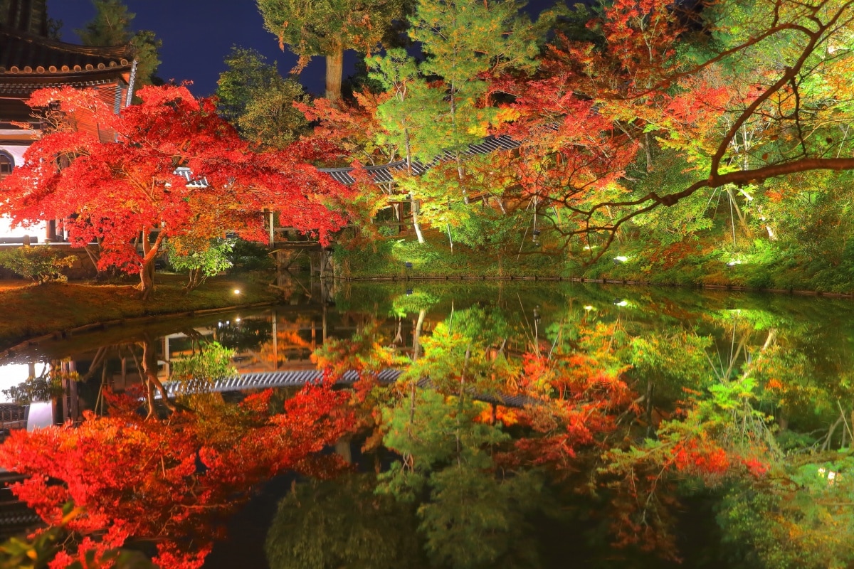 9. วัดโคไดจิ จังหวัดเกียวโต (Kodaiji Temple, Kyoto)