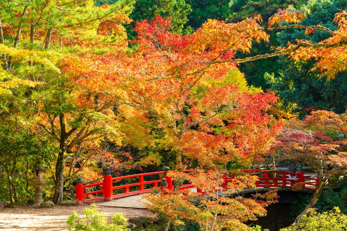 14. สวนสาธารณะโมมิจิดานิ เกาะมิยาจิมะ จังหวัดฮิโรชิมา (Momijidani Park in Miyajima, Hiroshima)