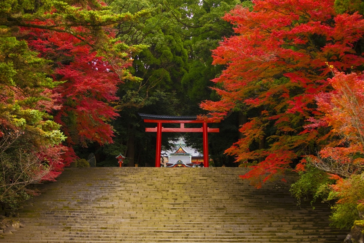 18. ศาลเจ้าคิริชิมะจิงกู จังหวัดคาโกชิมะ (Kirishima jingu Shrine, Kagoshima)