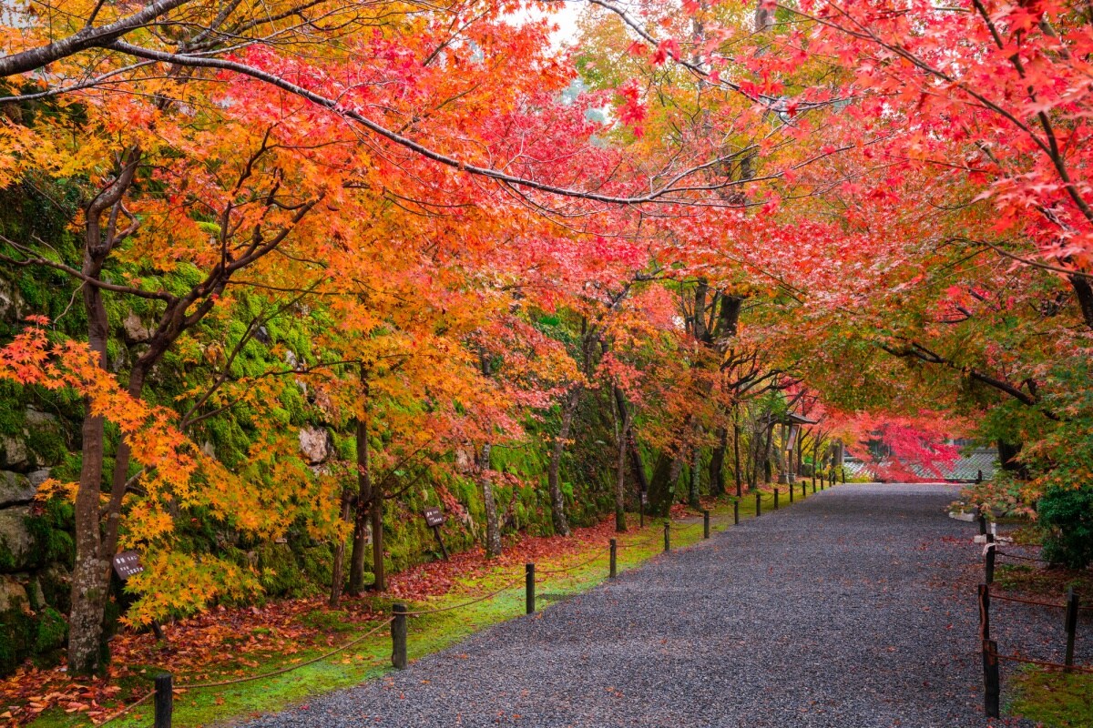 20. วัดซานเซนอิน เกียวโต (Sanzen-in Temple, Kyoto)