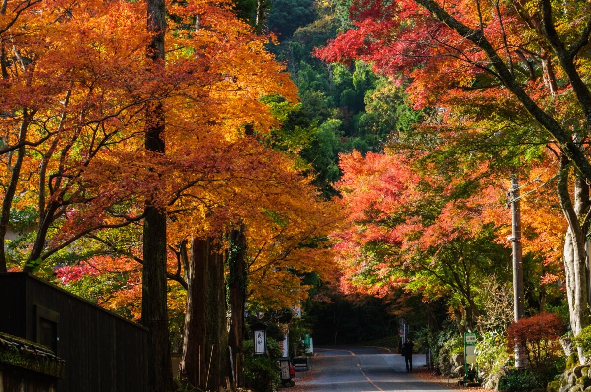 池峯紅葉之鄉 (池峯もみじの郷)