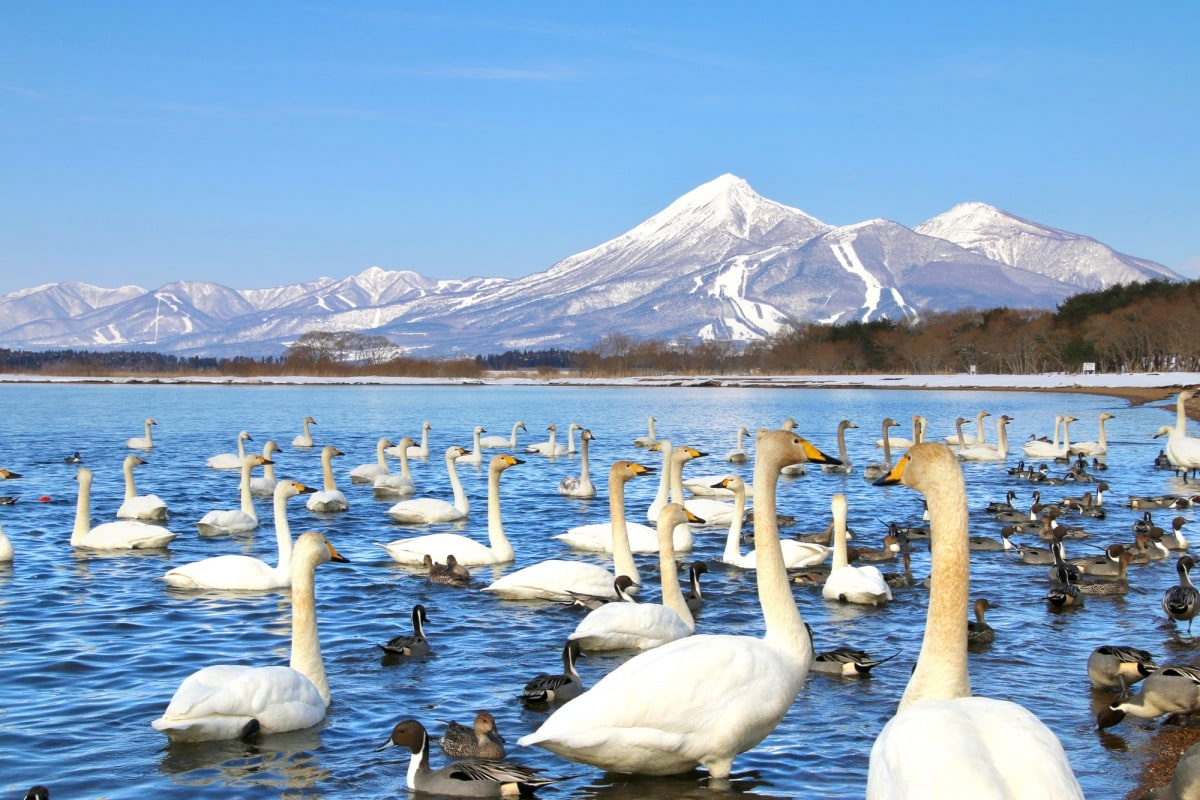 7 ทะเลสาบอินาวาชิโระ (Lake Inawashiro)