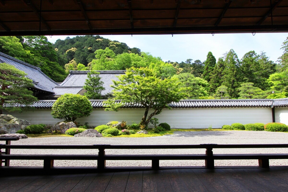 京都自由行 偷得浮生半日閒 南禪寺境內的枯山水庭園 哲學之道邂逅貓咪之旅 All About Japan