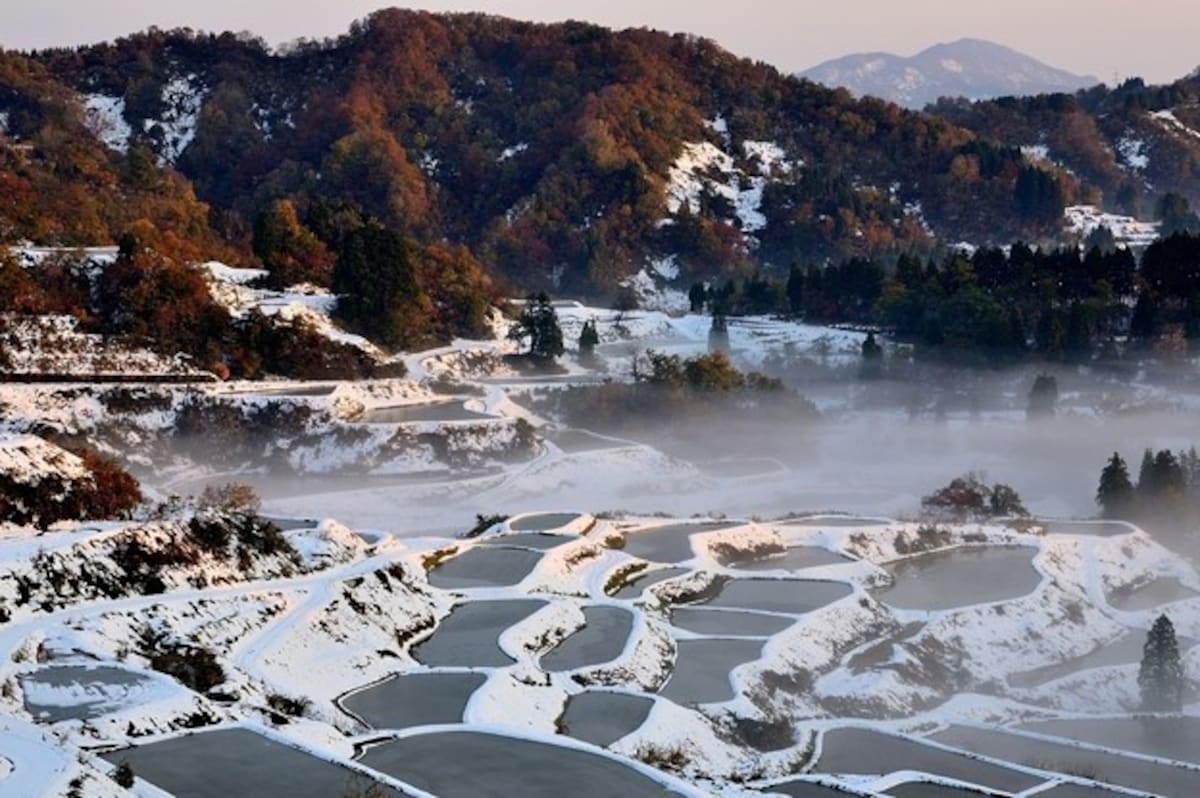 10. นาขั้นบันไดโฮชิโทเงะ จังหวัดนีงาตะ (Hoshitoge Rice Terrace, Niigata)