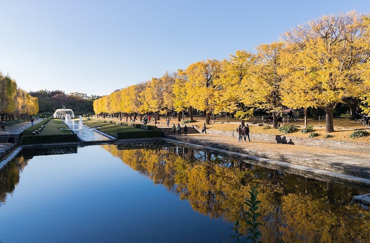 8. Showa Memorial Park