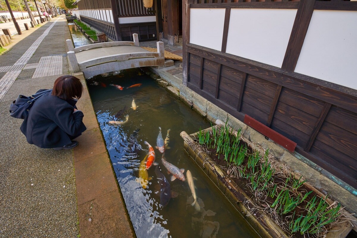 จังหวัดชิมาเนะ (Shimane)