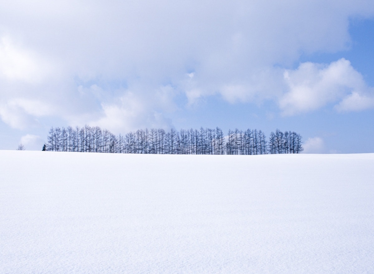 5. เมืองบิเอะ จ. ฮอกไกโด (Biei, Hokkaido)