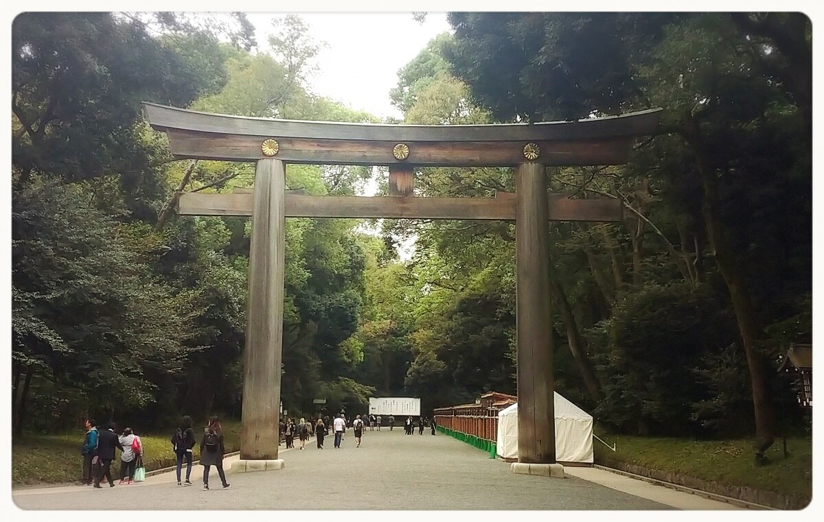 東京深度之旅 沐浴在 明治神宮 的森林芬多精中 順道帶走滿滿的正能量 All About Japan
