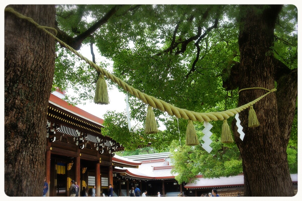 東京深度之旅 沐浴在 明治神宮 的森林芬多精中 順道帶走滿滿的正能量 All About Japan