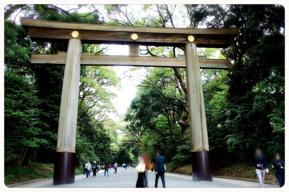 東京深度之旅 沐浴在 明治神宮 的森林芬多精中 順道帶走滿滿的正能量 All About Japan