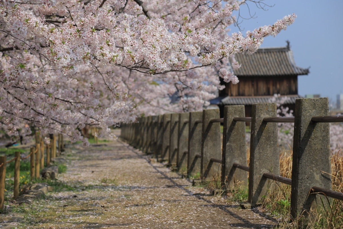 5. สวนสาธารณะโอโฮริ (Ohori Park)