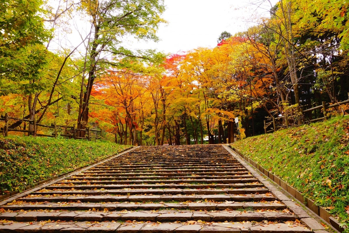 4. สวนสาธารณะมารุยามะ (Maruyama Park)