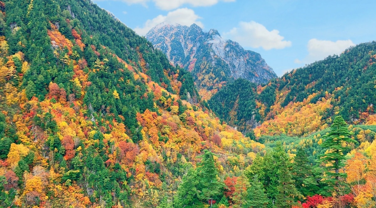 楓紅景色靜處山稜 洩洪動感逼真憾人