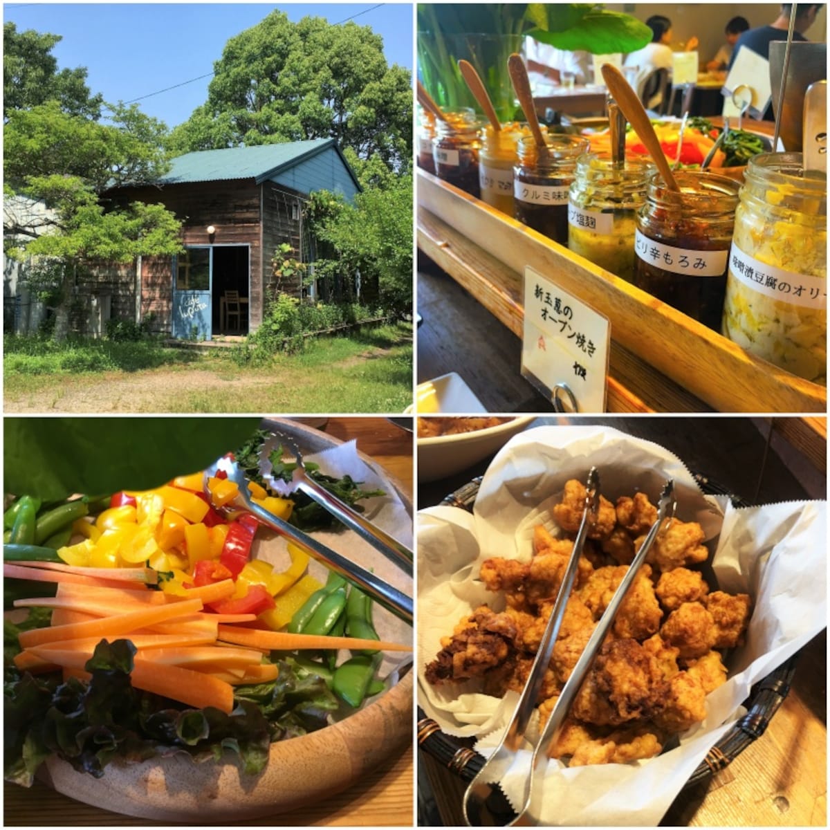 隱藏在山中的健康蔬食餐廳｜Laputa farm