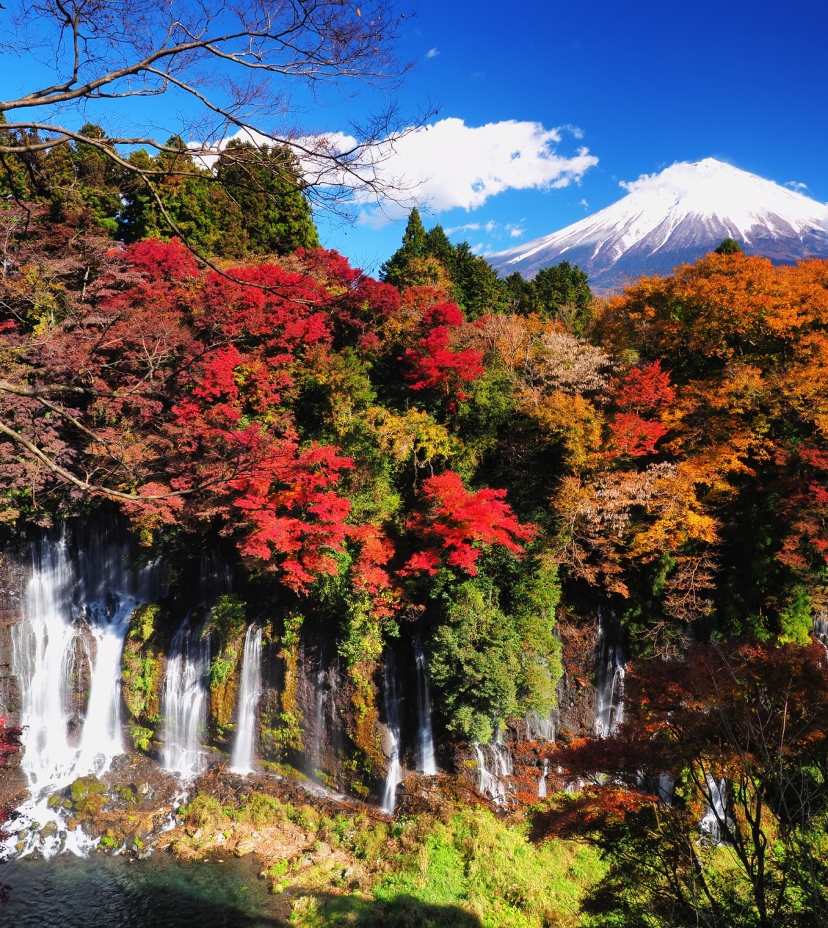 2 เมืองฟูจิโนะมิยะ (Fujinomiya City)