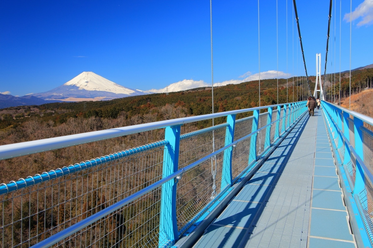 3 มิชิมะสกายวอล์ค (Mishima Skywalk)