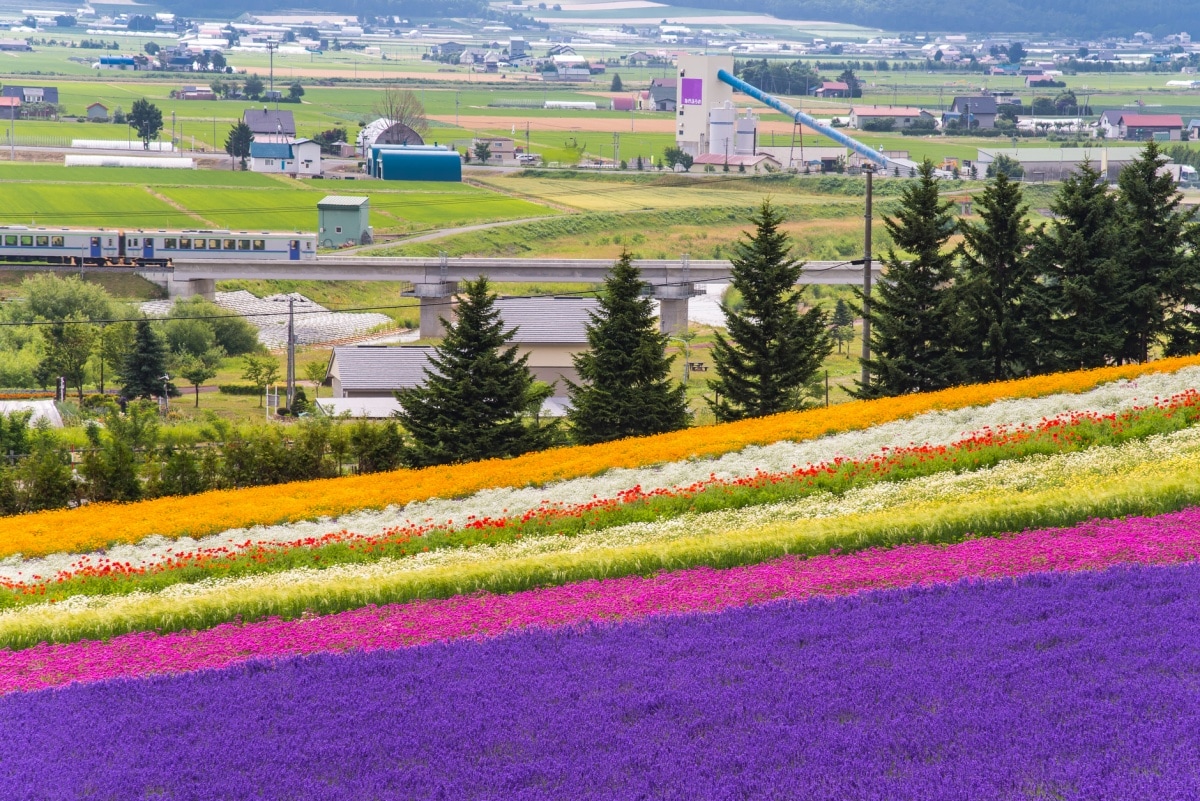 1. ภูมิภาคฮอกไกโด (Hokkaido)