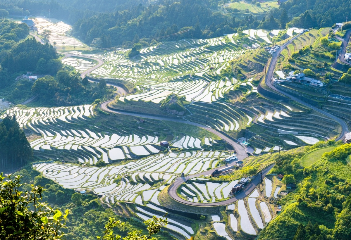 3. นาขั้นบันไดมารุยามะ เซนไมดะ (Maruyama Senmaida Rice Terrace)