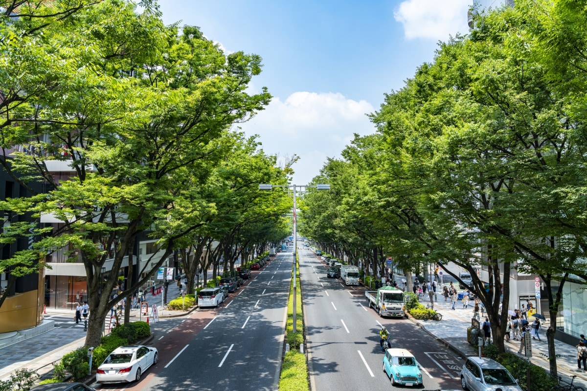 C-04 สถานีโอโมเตะ-ซันโด (Omote-sando Station)