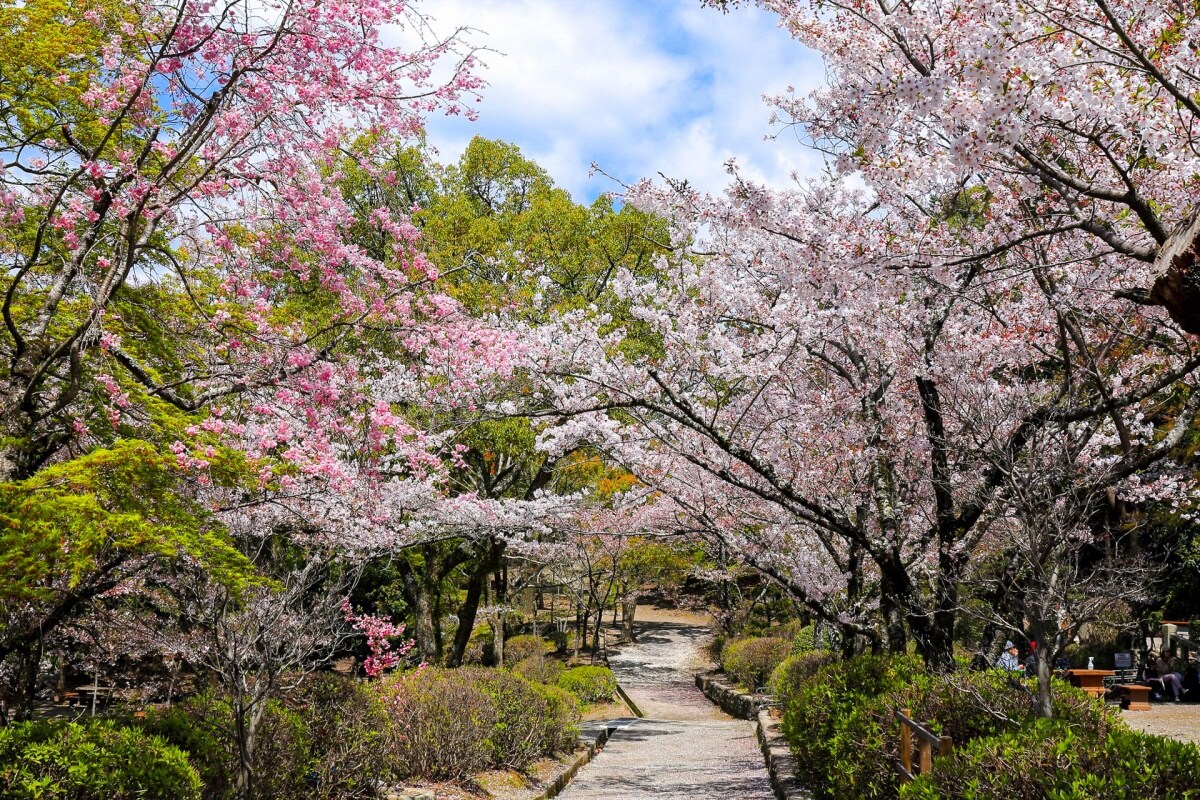 สวนซัตสึกิยามะ (Satsukiyama Park)