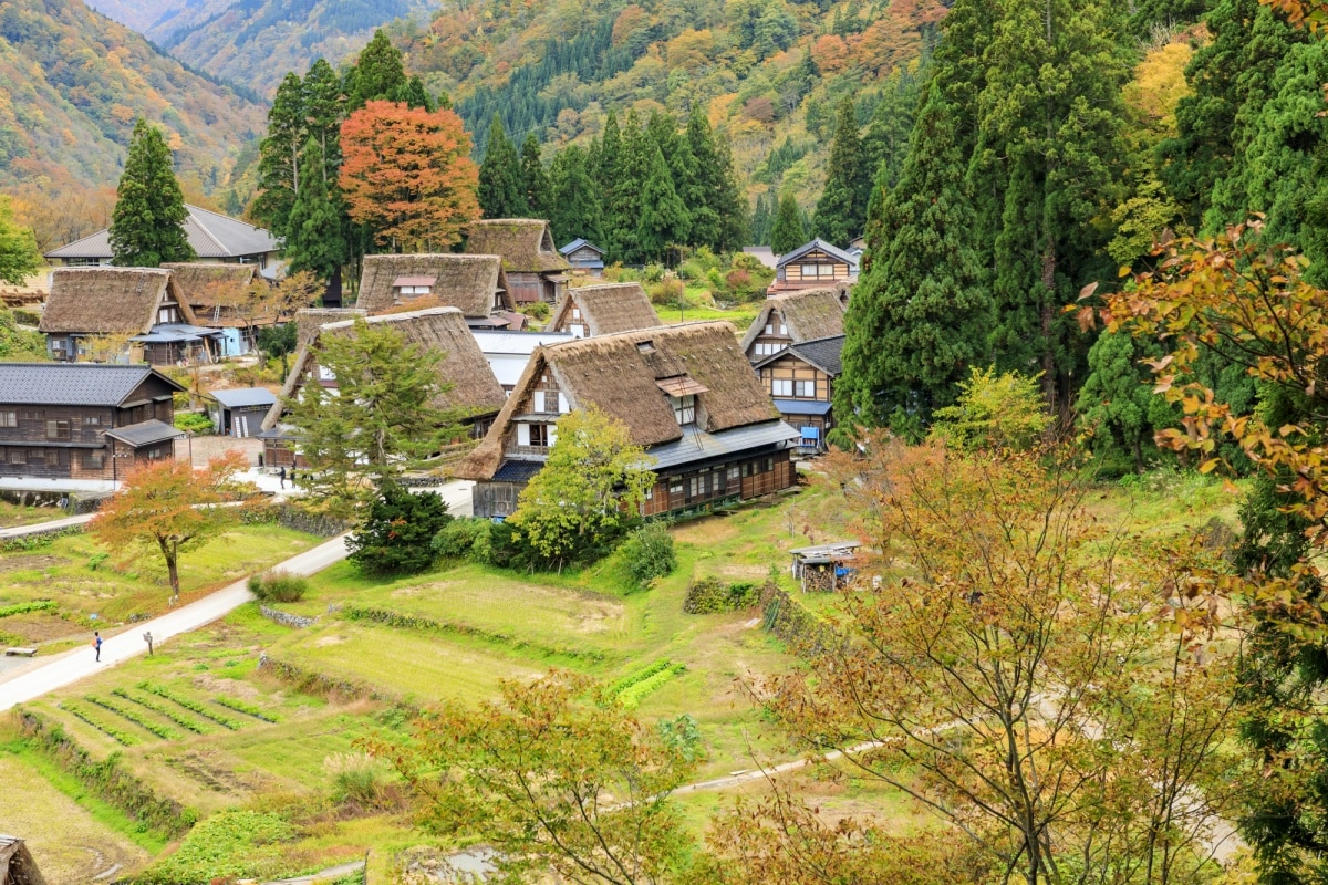 โกคายามะ (Gokayama)