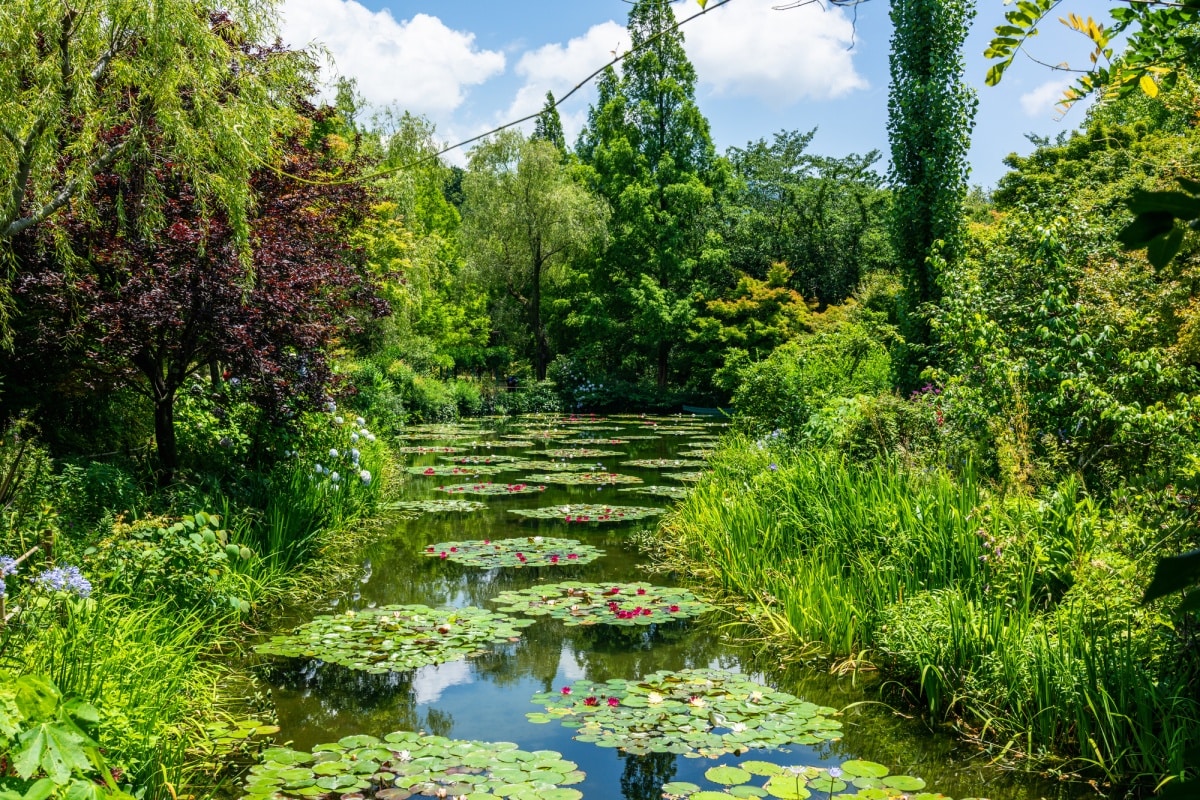 15 สวนโมเน่ต์ จังหวัดโคจิ (Monet’s Garden, Kochi)