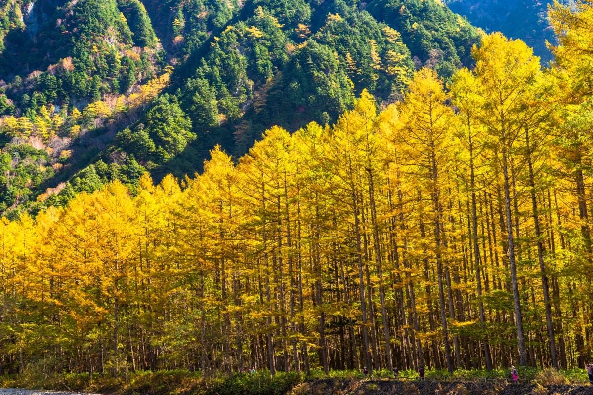 9 คามิโคจิ จังหวัดนางาโนะ (Kamikochi, Nagano)