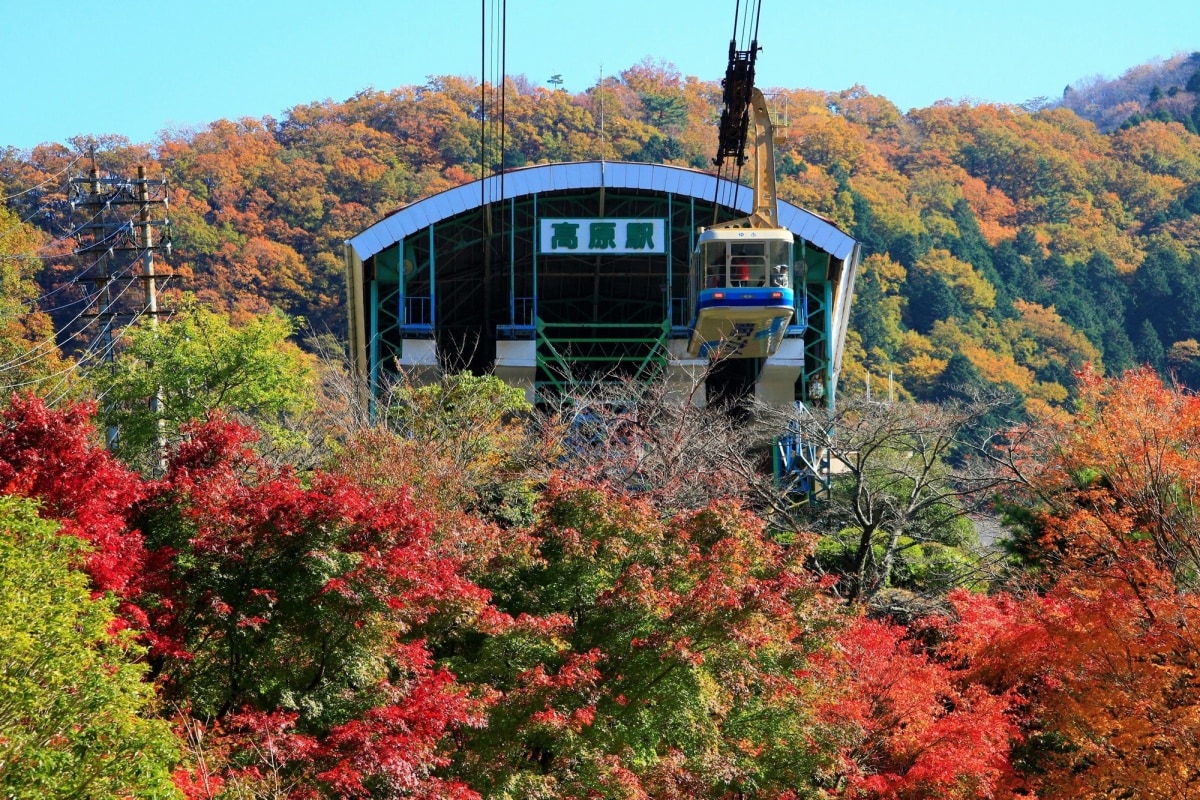 20 นั่งกระเช้าลอยฟ้าเบปปุชมใบไม้เปลี่ยนสี (Beppu Ropeway, Beppu, Oita)