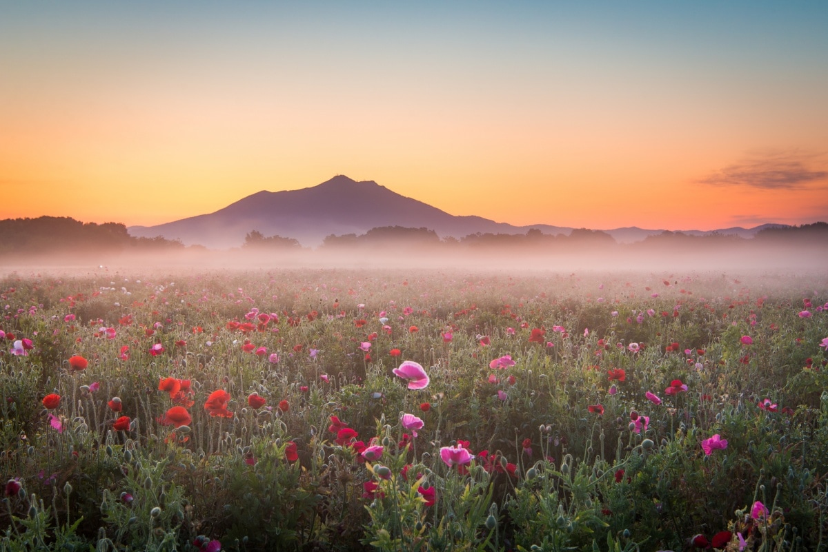 Mount Tsukuba, Ibaraki