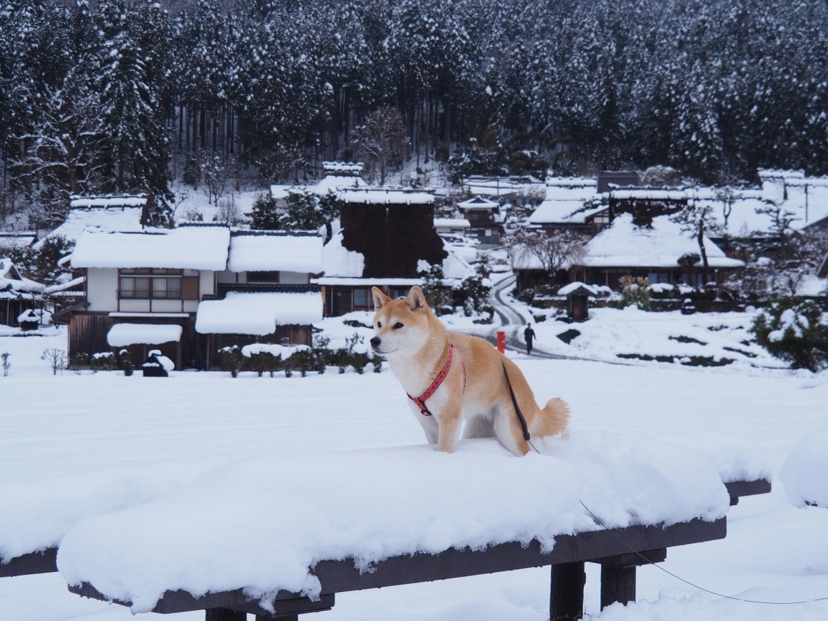 5. หมู่บ้านมิยามะ จังหวัดเกียวโต (Miyama-Cho, Kyoto)